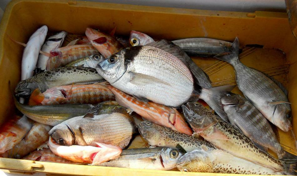 Vila Ruza Ston Ngoại thất bức ảnh